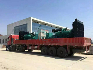 <strong><font color='#FF0000'>ϲ˾1000KW˹l(f)늙C(j)v500(qing)F(tun)</font></strong>